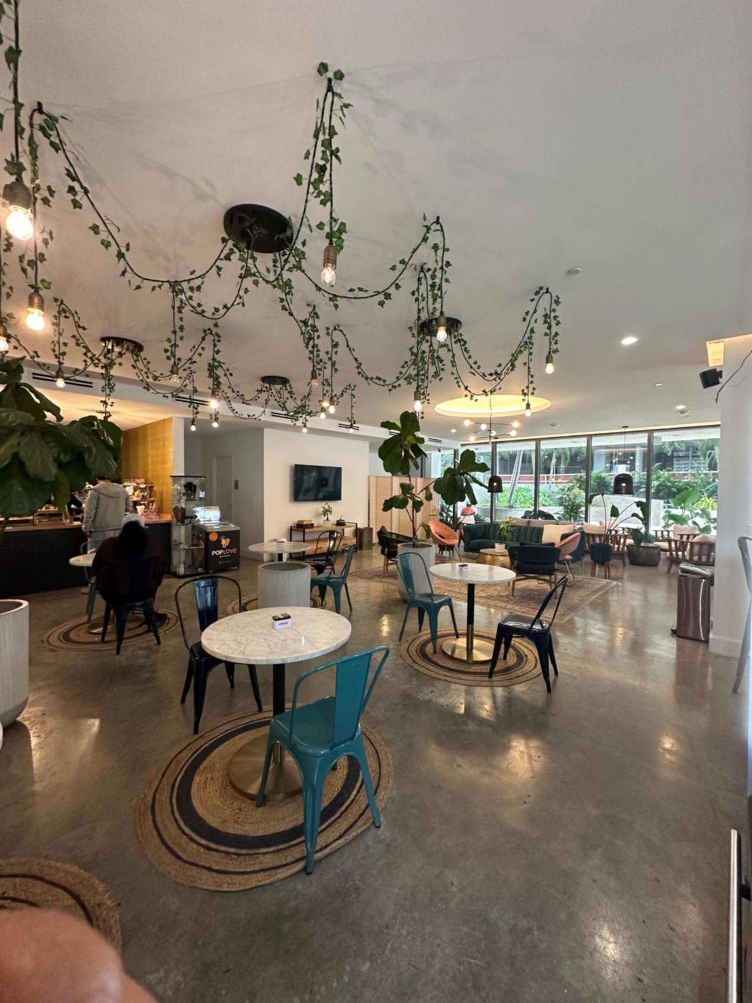 Luxurious In The Heart Of Miami